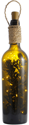 Christmas in a bottle