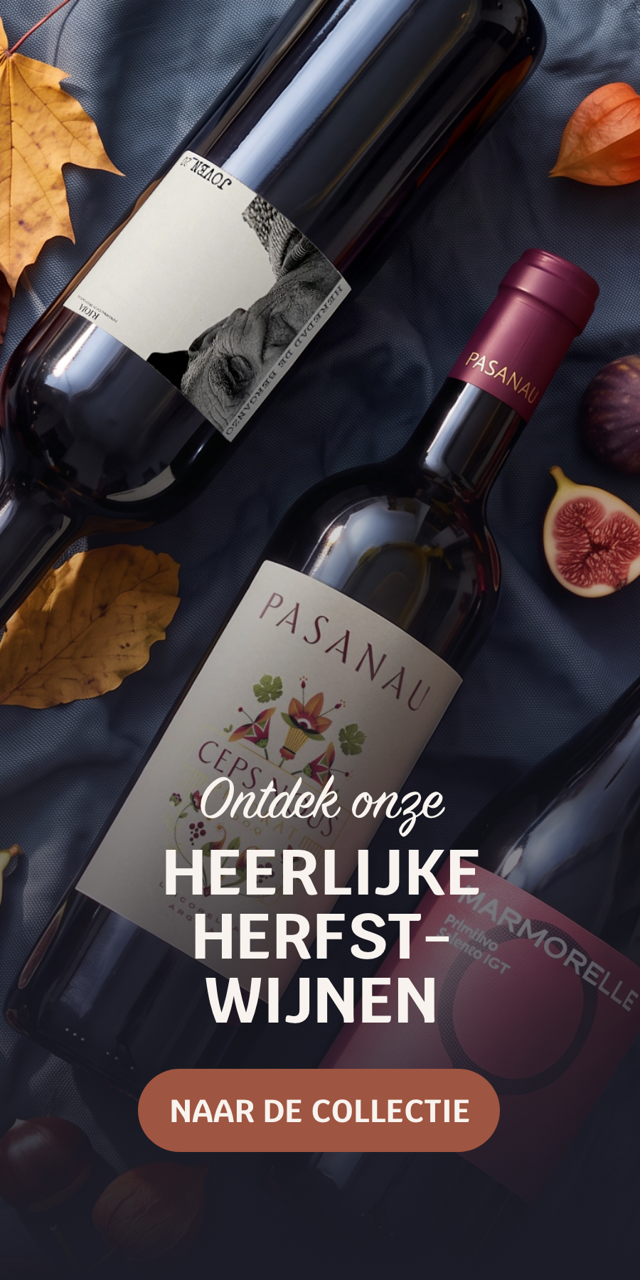Ontdek onze heerlijke herfstige wijnen